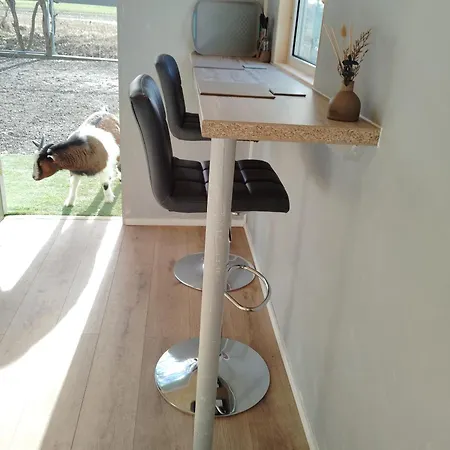 Daisy Lane Glamping Γιορκ